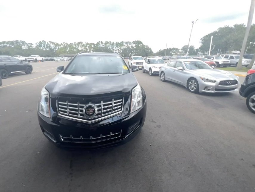 Little Bear Car Company